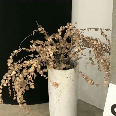 Furry插画风格灵感FurryQQ群